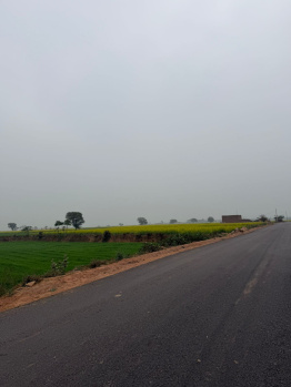  Agricultural Land for Sale in Pahari, Bharatpur