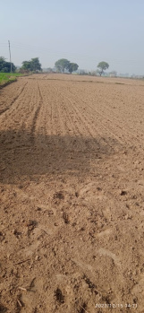  Agricultural Land for Sale in Jewar, Gautam Buddha Nagar