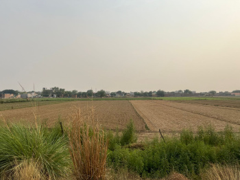  Agricultural Land for Sale in Dankaur, Gautam Buddha Nagar