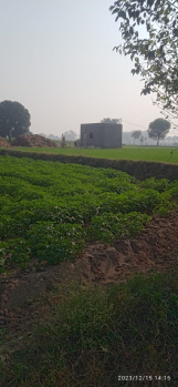  Agricultural Land for Sale in Jewar, Gautam Buddha Nagar