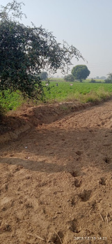  Agricultural Land for Sale in Jewar, Gautam Buddha Nagar