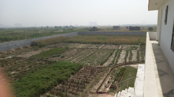  Residential Plot for Sale in Jewar, Gautam Buddha Nagar