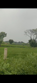  Residential Plot for Sale in Jewar, Gautam Buddha Nagar