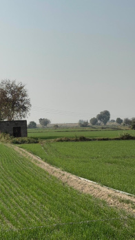  Residential Plot for Sale in Jewar, Gautam Buddha Nagar