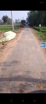  Agricultural Land for Sale in Bajna, Mathura