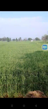  Agricultural Land for Sale in Tappal, Aligarh