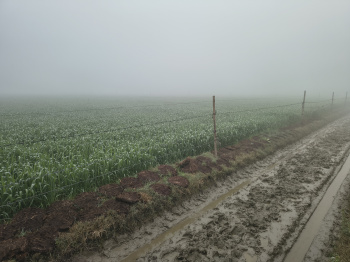  Agricultural Land for Sale in Jewar, Gautam Buddha Nagar