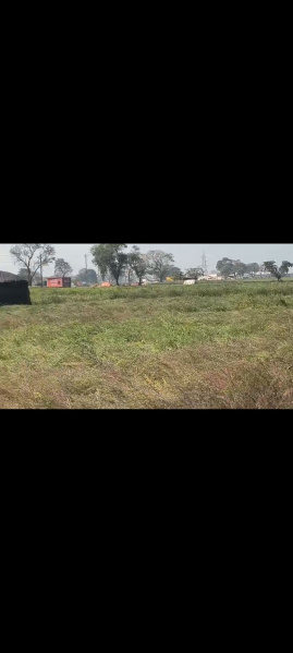 Jattari, Aligarh photo 2