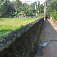  Agricultural Land for Sale in Nedumbassery, Kochi
