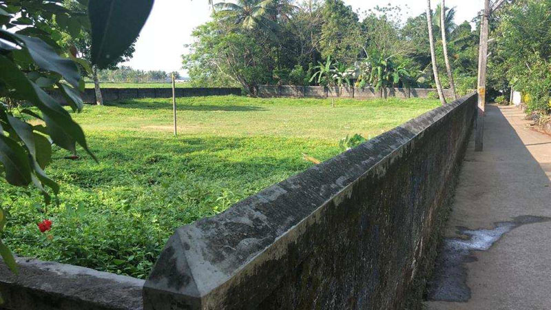 Agricultural Land 45 Cent for Sale in Nedumbassery, Kochi