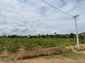  Agricultural Land for Sale in Thalli, Krishnagiri