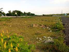  Commercial Land for Sale in MUMBAI EXPRESS WAY, Nuh (Mewat), Nuh (Mewat)