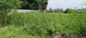  Agricultural Land for Sale in Papparapatti, Dharmapuri