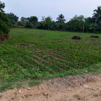  Agricultural Land for Sale in Palakkodu, Dharmapuri