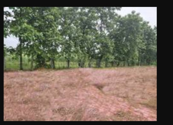 Industrial Land for Sale in Gummidipoondi, Thiruvallur