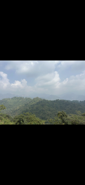  100 Bigha Hotels for Sale in Totu, Shimla