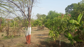  Agricultural Land for Sale in Talasari, Palghar