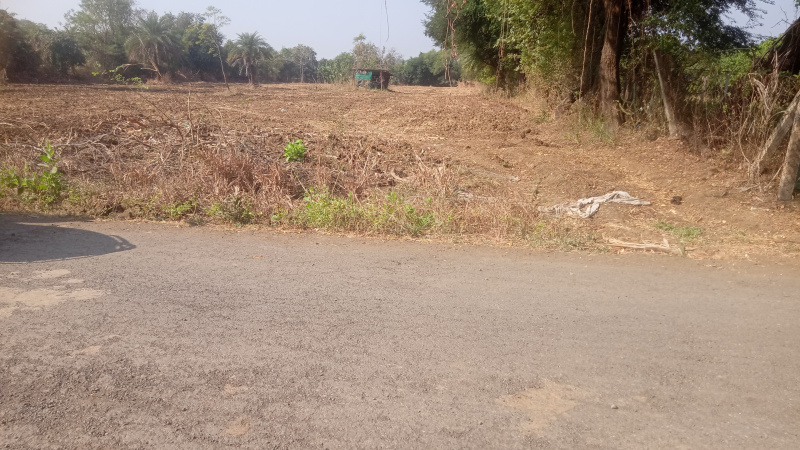  Residential Plot 11 Guntha for Sale in Mahim Road, Palghar