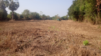  Residential Plot for Sale in Mahim Road, Palghar