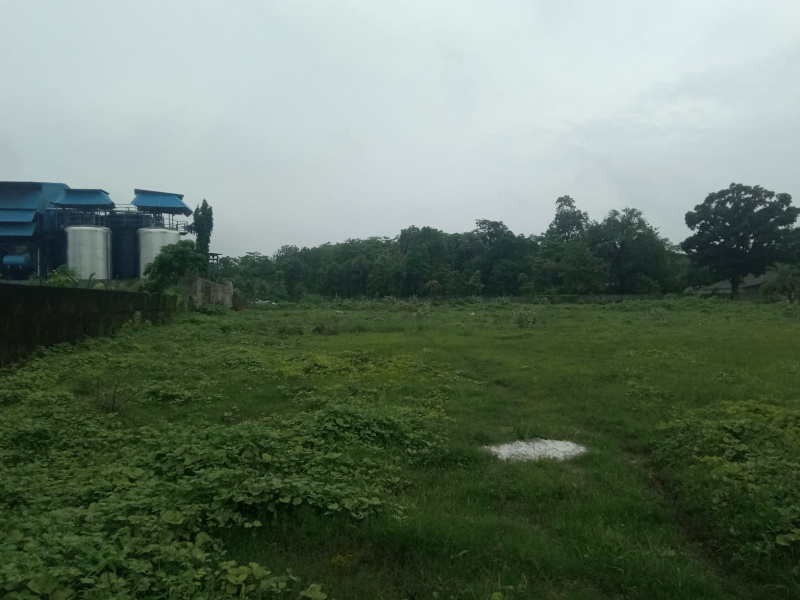  Industrial Land 76 Guntha for Sale in Talasari, Palghar