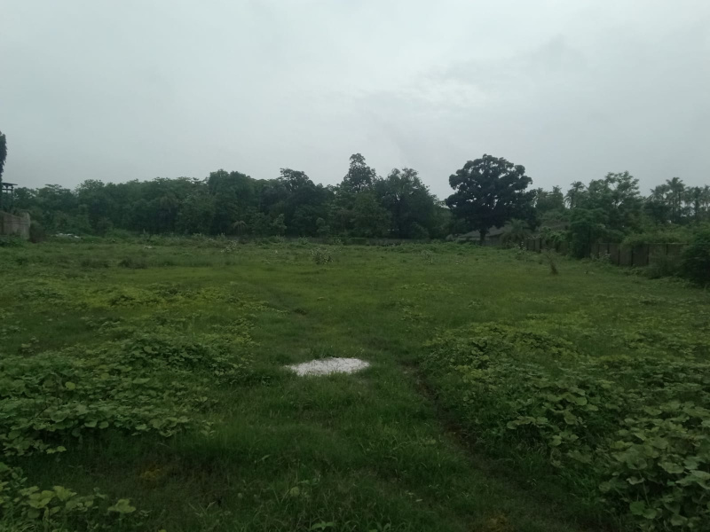  Industrial Land 76 Guntha for Sale in Talasari, Palghar