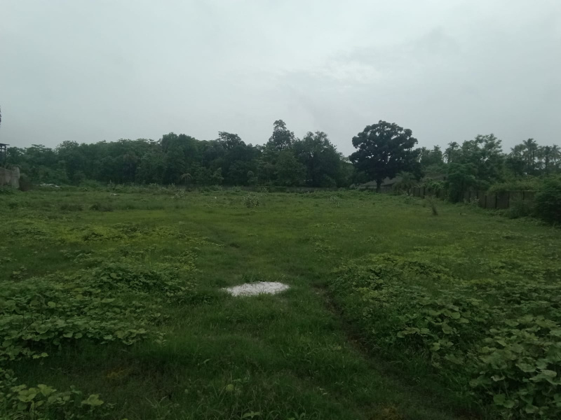  Industrial Land 76 Guntha for Sale in Talasari, Palghar