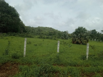  Agricultural Land for Sale in Umroli, Boisar West, Palghar