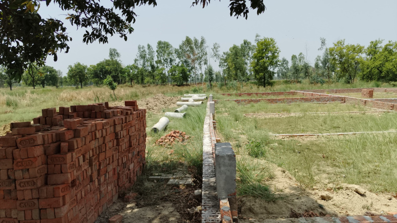  Residential Plot 1000 Sq.ft. for Sale in Gosaiganj, Lucknow