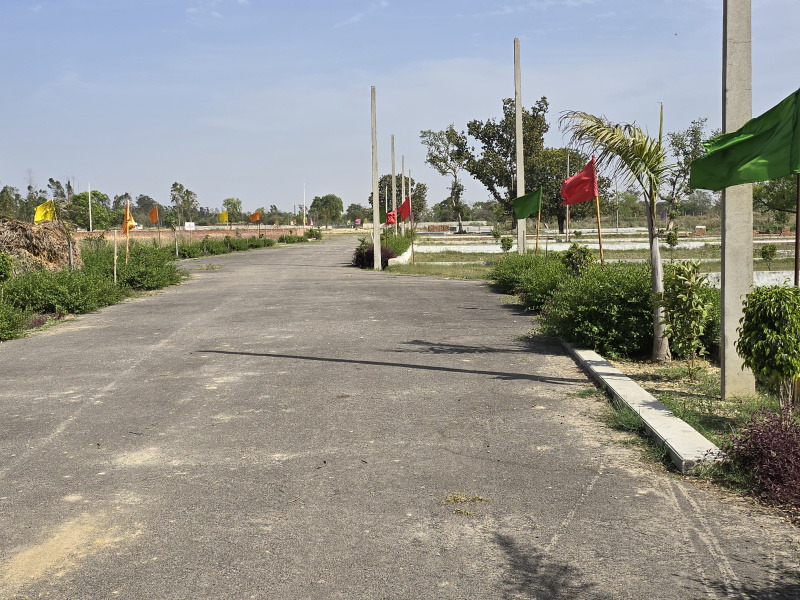  Residential Plot 1000 Sq.ft. for Sale in Gosaiganj, Lucknow