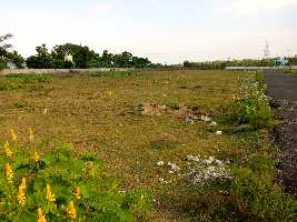  Residential Plot for Sale in Appanaickenpalayam, Coimbatore