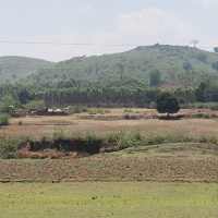  Agricultural Land for Sale in Kotpad, Koraput
