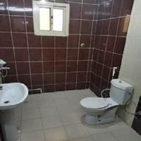 1 BHK Flat for Rent in Kankurgachi, Kolkata
