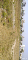 Agricultural Land for Sale in Talur Road, Bellary