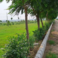  Residential Plot for Sale in Sector 27 Gurgaon