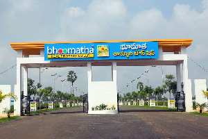  Commercial Land for Sale in Tagarapuvalasa, Visakhapatnam