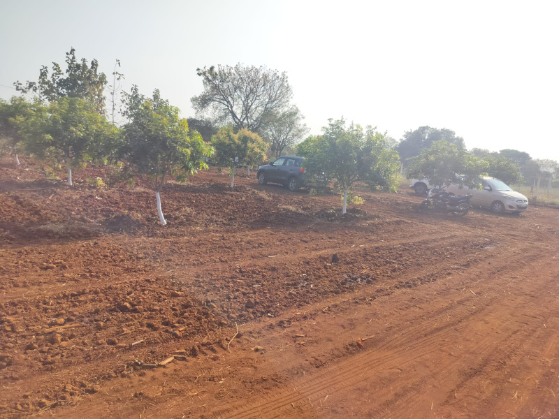  Agricultural Land 242 Sq. Yards for Sale in Yenkapally, Hyderabad