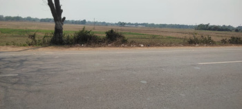  Commercial Land for Sale in Pandua, Hooghly