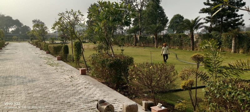 2 BHK 10000 Sq. Meter Farm House for Sale in Binola, Gurgaon