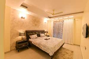  Flat for Sale in Sector 61 Gurgaon