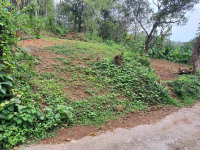  Agricultural Land for Sale in Ayoor, Kollam
