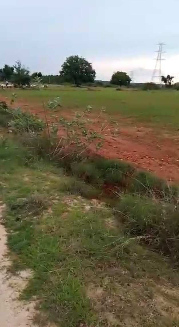  Agricultural Land 80 Acre for Sale in Madhugiri, Tumkur