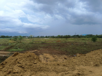  Agricultural Land for Sale in Sriperumbudur, Chennai