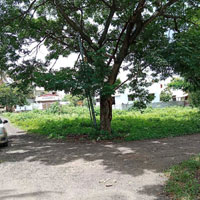  Residential Plot for Sale in Kanchanwadi, Aurangabad
