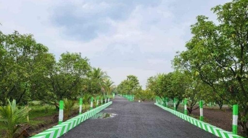  Agricultural Land 10000 Sq.ft. for Sale in Acharapakkam, Chengalpattu