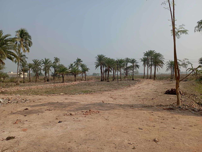  Residential Plot 2 Katha for Sale in Joka, Kolkata