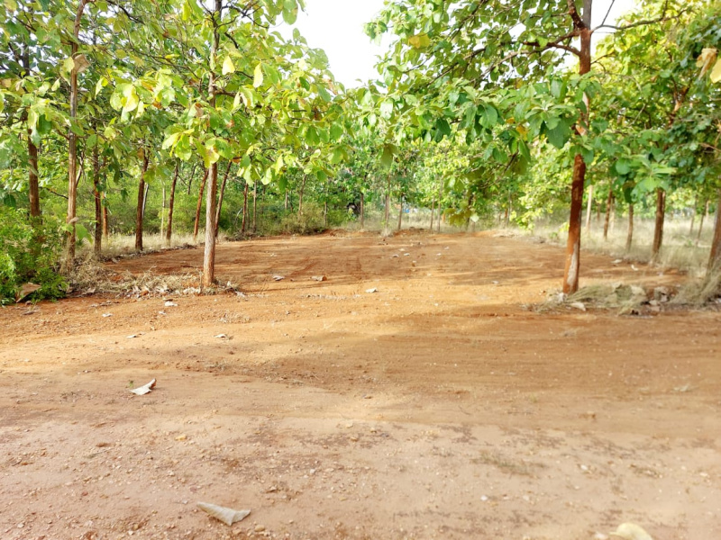  Agricultural Land 11 Cent for Sale in Periyanaickenpalayam, Coimbatore
