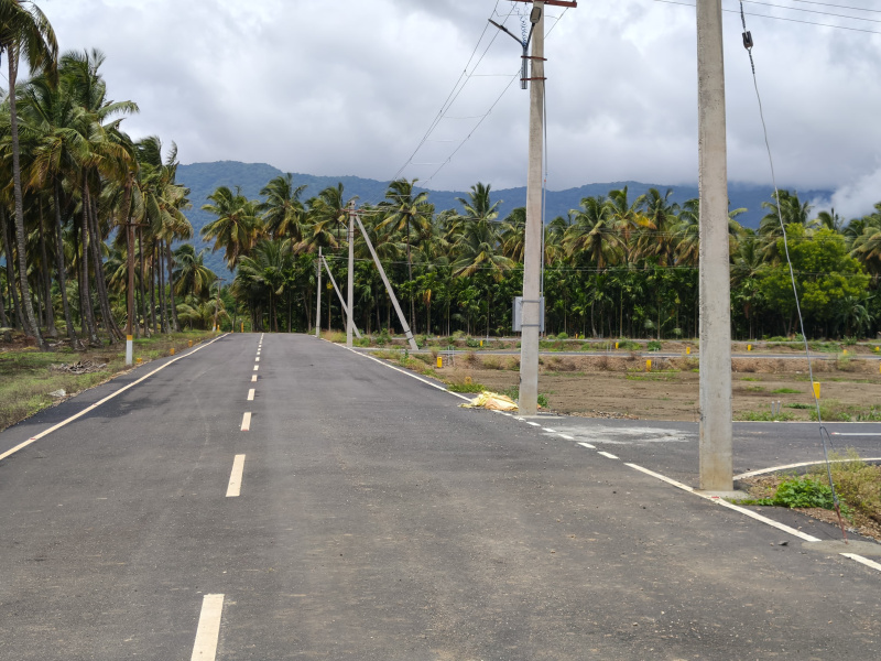  Residential Plot 1199000 Cent for Sale in Karunia, Coimbatore