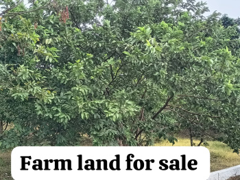 2 BHK Residential Plot for Sale in Annur, Coimbatore