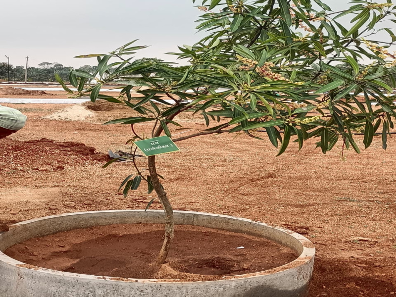 2 BHK 10896 Sq.ft. Residential Plot for Sale in Annur, Coimbatore