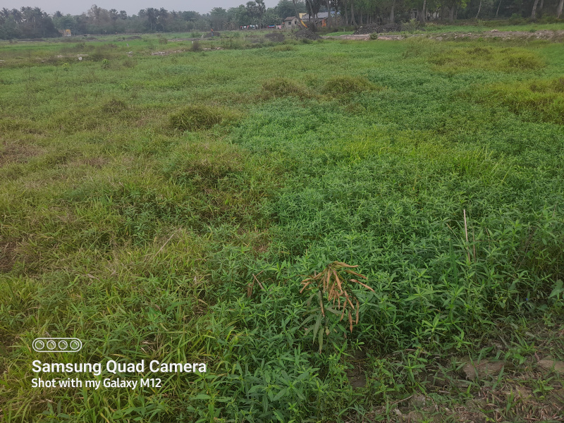 Agricultural Land 720 Sq.ft. for Sale in